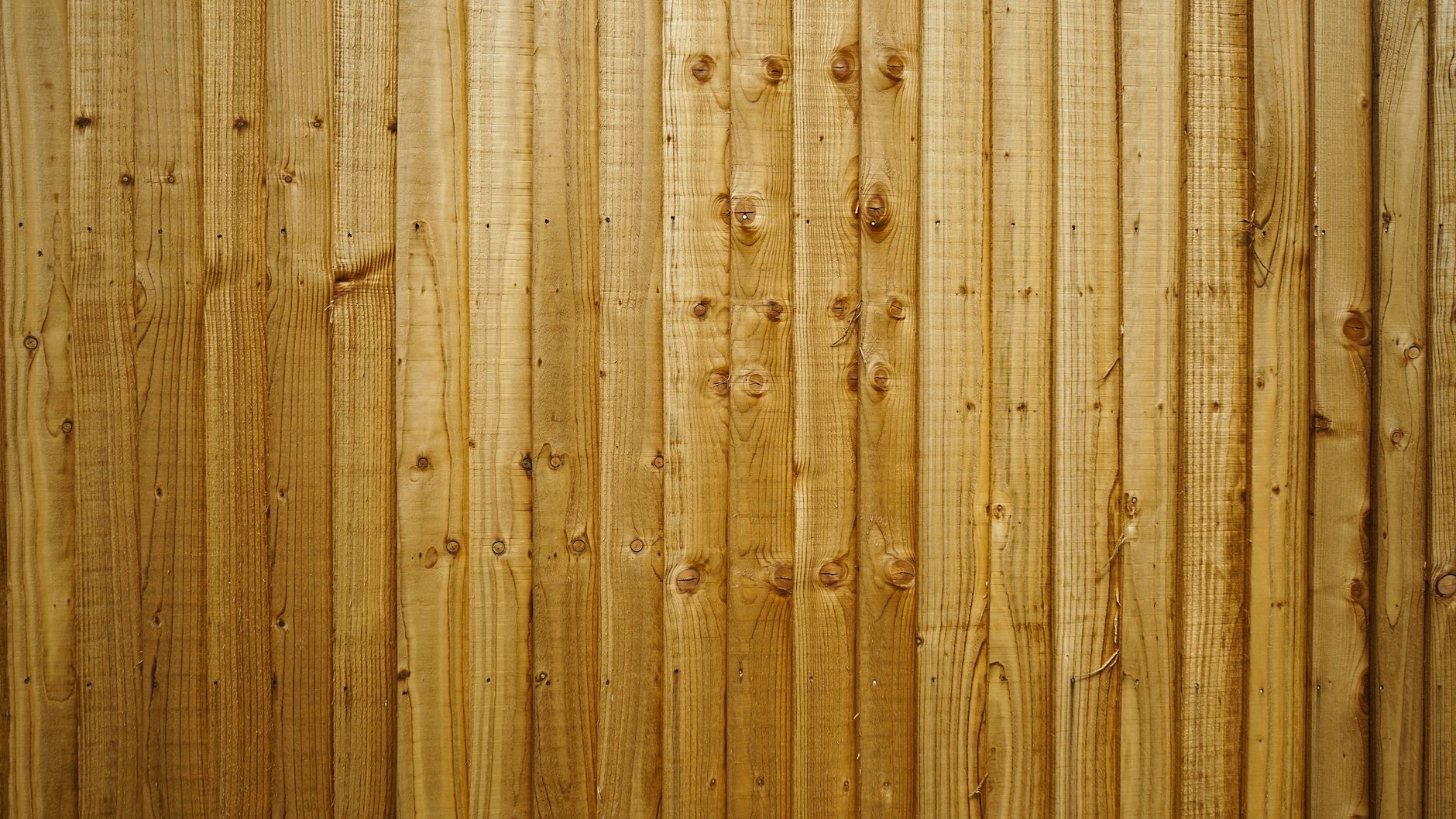 Premium closeboard featheredge timber fence installation